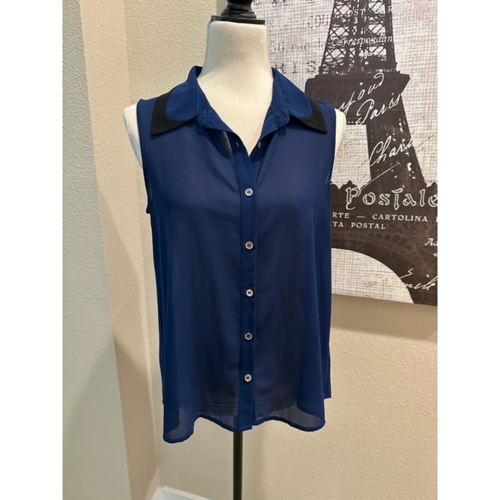 Forever 21 Sheer Blue Sleeveless Blouse